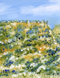 Kimberly Mega. 150x100mm