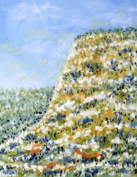 Kimberly Giant. 150x100mm