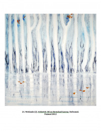 Wetlands (2). 410x410