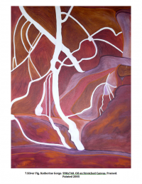 Silver Fig, Katherine Gorge. 990x740