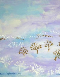 North Road September 2014 - Copy