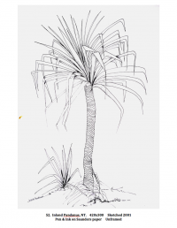 Inland Pandanus N.T. 420x300