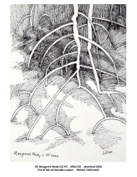 Mangrove Study (3) N.T. 180x130