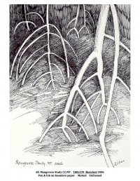 Mangrove Study (1) N.T. 180x139