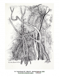 Turtle Beach, N.T. 2001 180x135