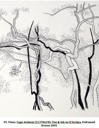 Vines. Cape Arnhem (1) 270x195