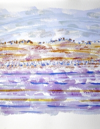 Last Light. NT 2014. 380x565mm