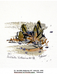 Ant Hills, Katherine N.T. 140x130 1999