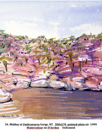 Midday at Umbrawarra Gorge, N.T. 300x270