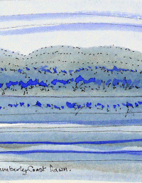 Mangroves Kimberley Coast Dawn 180x125