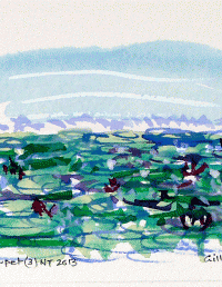 Lily Carpet (3) NT. 180x125