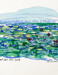 Lily Carpet (4) NT. 180x125